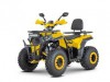  DAZZLE ATV200  1 - -.  . (343) 382-49-68