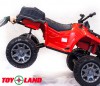   Grizzly Next 4x4   blackstep - -.  . (343) 382-49-68