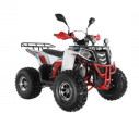  Wels ATV THUNDER EVO 125  s-dostavka  - -.  . (343) 382-49-68