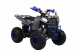  Wels ATV THUNDER EVO 125 X ST s-dostavka - -.  . (343) 382-49-68