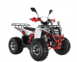  Wels ATV THUNDER EVO 125  s-dostavka  - -.  . (343) 382-49-68