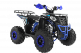  Wels ATV THUNDER EVO 125 s-dostavka  - -.  . (343) 382-49-68