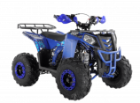  Wels ATV THUNDER EVO 125 s-dostavka  - -.  . (343) 382-49-68