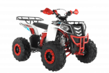  Wels ATV THUNDER EVO 125 s-dostavka  - -.  . (343) 382-49-68