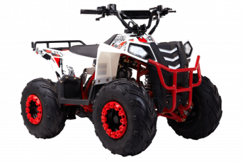  Wels  THUNDER EVO.M 110cc  s-dostavka - -.  . (343) 382-49-68