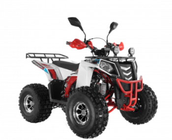  Wels ATV THUNDER EVO 125  s-dostavka  - -.  . (343) 382-49-68