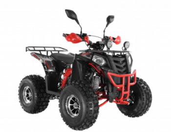  Wels ATV THUNDER EVO 125  s-dostavka  - -.  . (343) 382-49-68