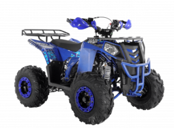  Wels ATV THUNDER EVO 125 s-dostavka  - -.  . (343) 382-49-68